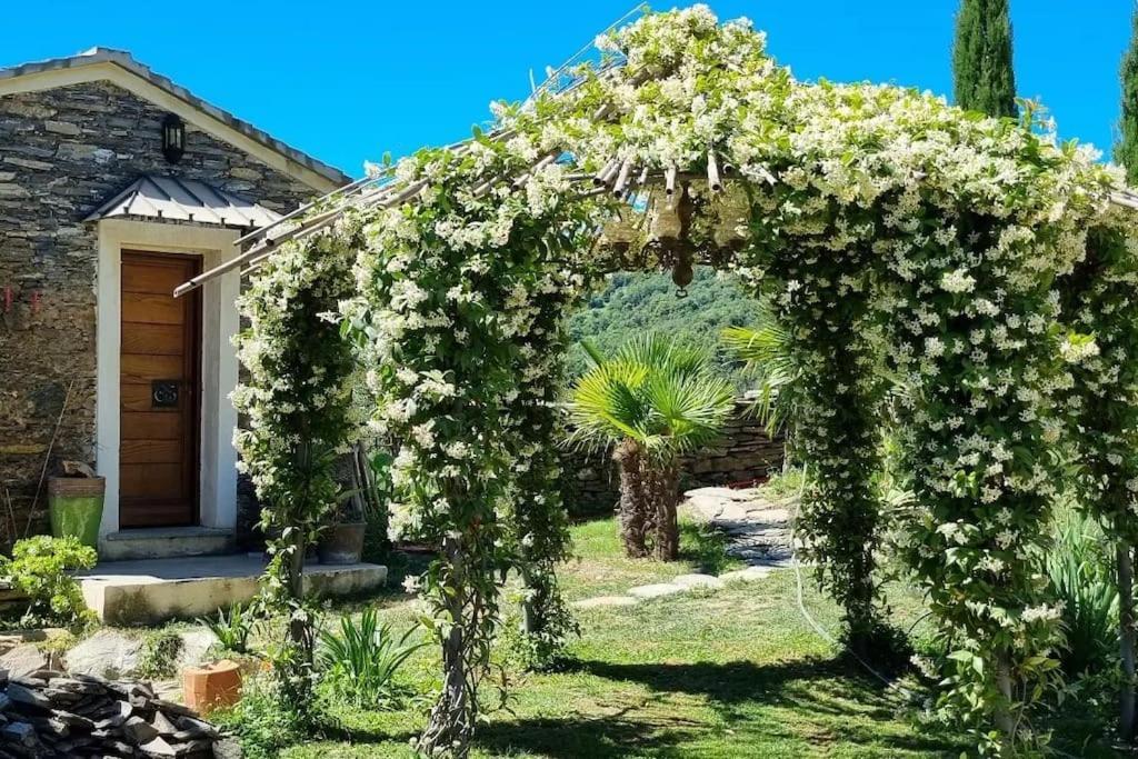 Domaine Colonna-Santini, Gite Piscine, Sauna, Spa Porri 外观 照片