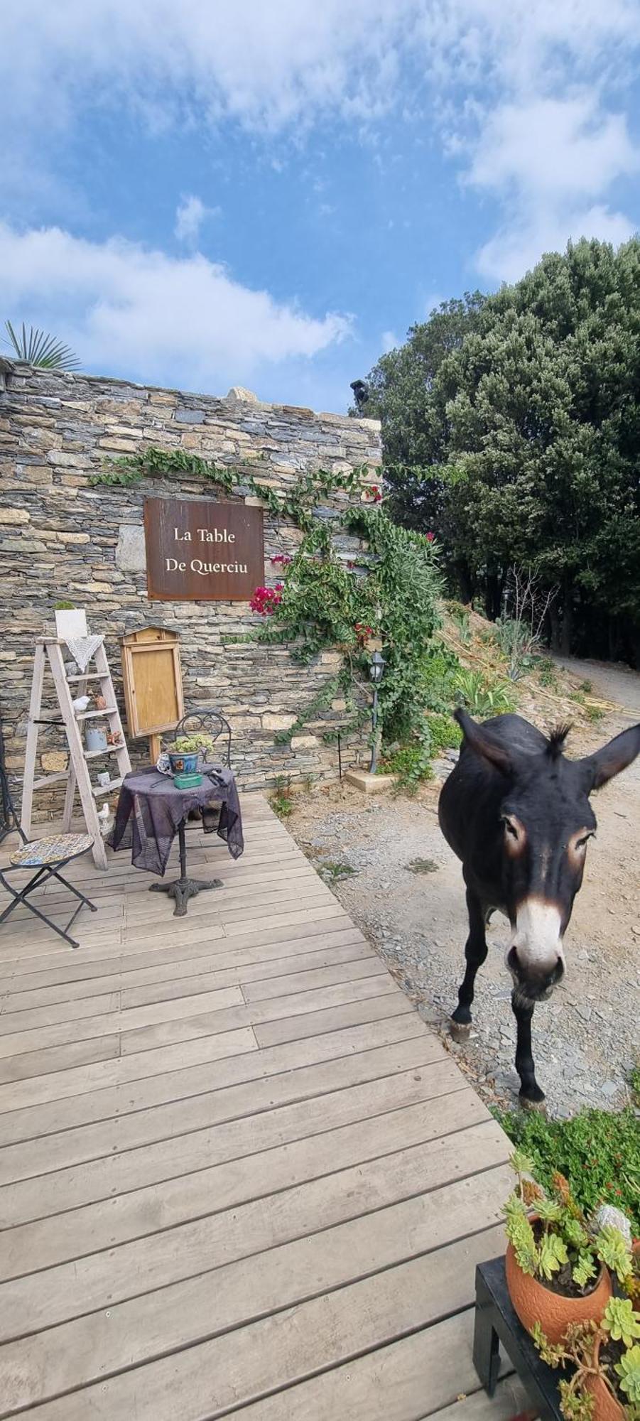 Domaine Colonna-Santini, Gite Piscine, Sauna, Spa Porri 外观 照片